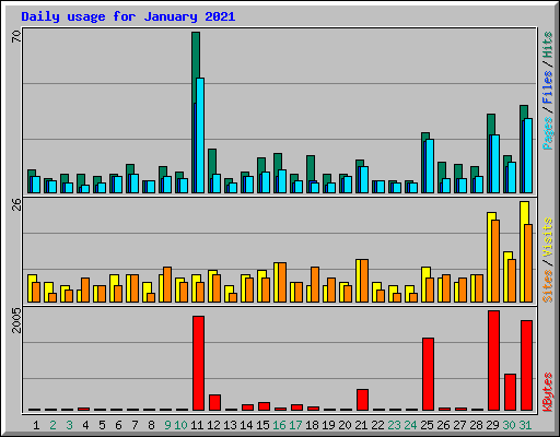 Daily usage for January 2021