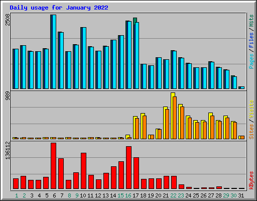 Daily usage for January 2022