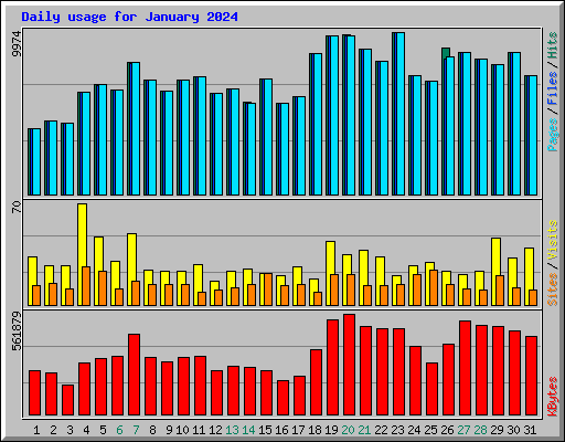 Daily usage for January 2024