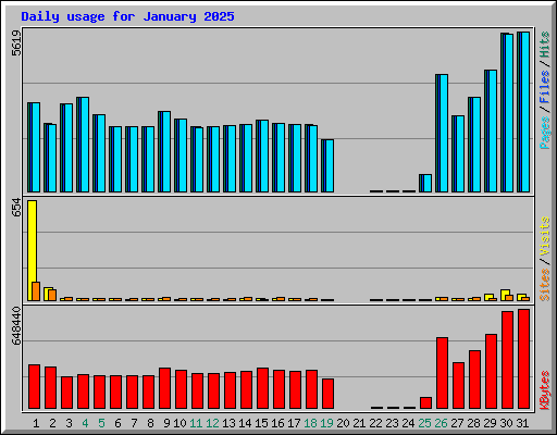 Daily usage for January 2025
