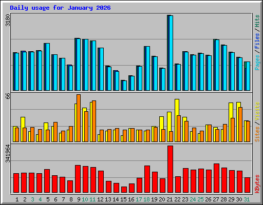 Daily usage for January 2026