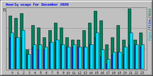 Hourly usage for December 2020