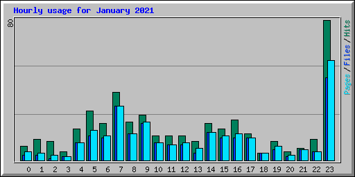 Hourly usage for January 2021