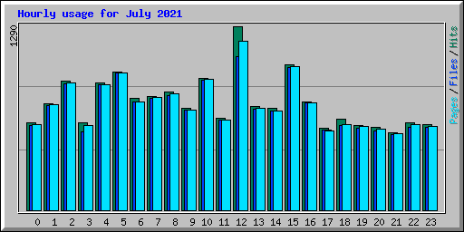 Hourly usage for July 2021