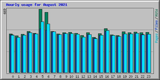 Hourly usage for August 2021