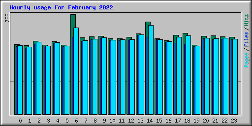Hourly usage for February 2022