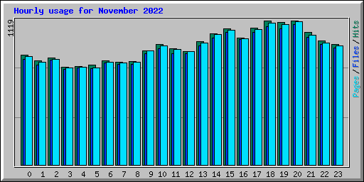 Hourly usage for November 2022