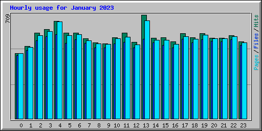 Hourly usage for January 2023