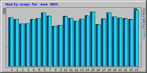Hourly usage for June 2023