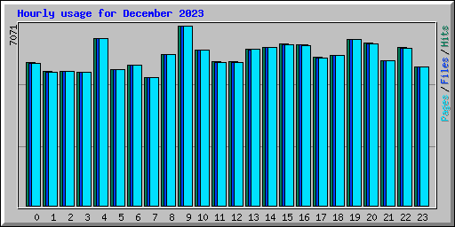 Hourly usage for December 2023
