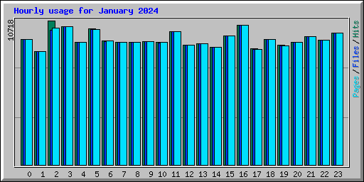 Hourly usage for January 2024