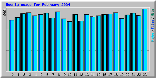 Hourly usage for February 2024