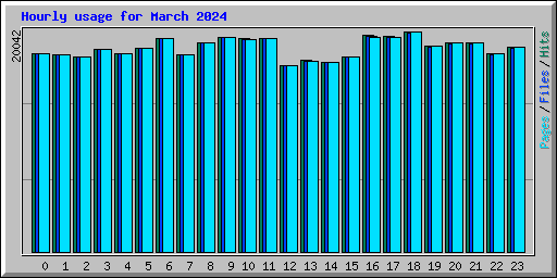 Hourly usage for March 2024