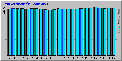 Hourly usage for June 2024