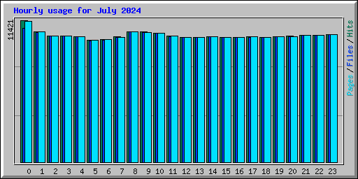 Hourly usage for July 2024