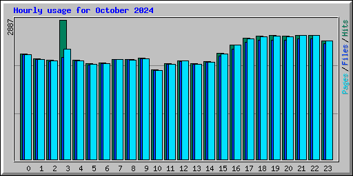 Hourly usage for October 2024