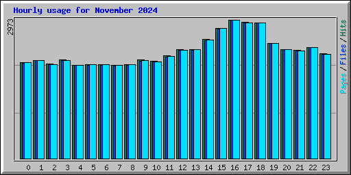 Hourly usage for November 2024