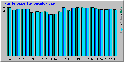 Hourly usage for December 2024