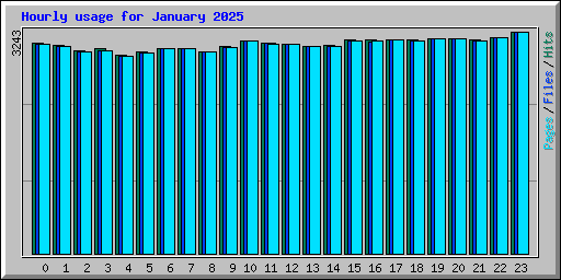 Hourly usage for January 2025