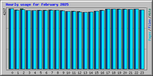 Hourly usage for February 2025