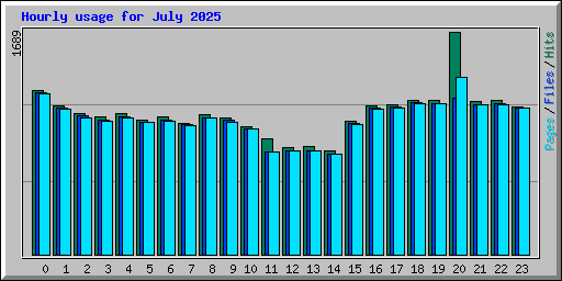 Hourly usage for July 2025