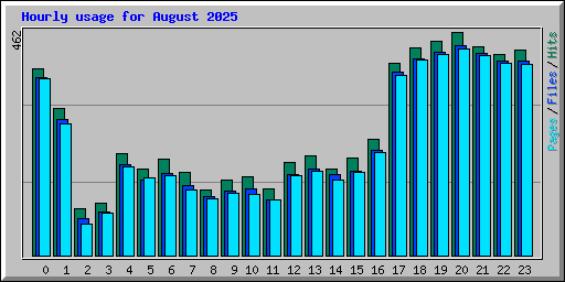 Hourly usage for August 2025