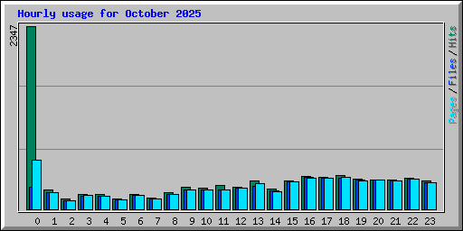 Hourly usage for October 2025