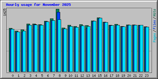 Hourly usage for November 2025