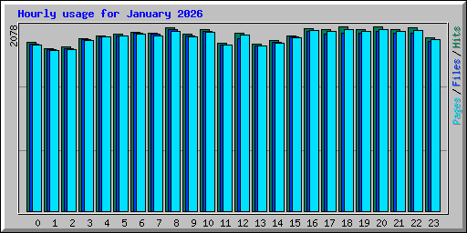 Hourly usage for January 2026