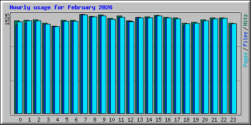 Hourly usage for February 2026